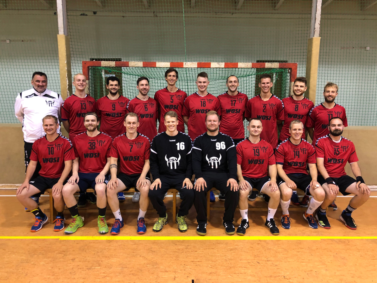 Handball Verbandsliga Sachsen